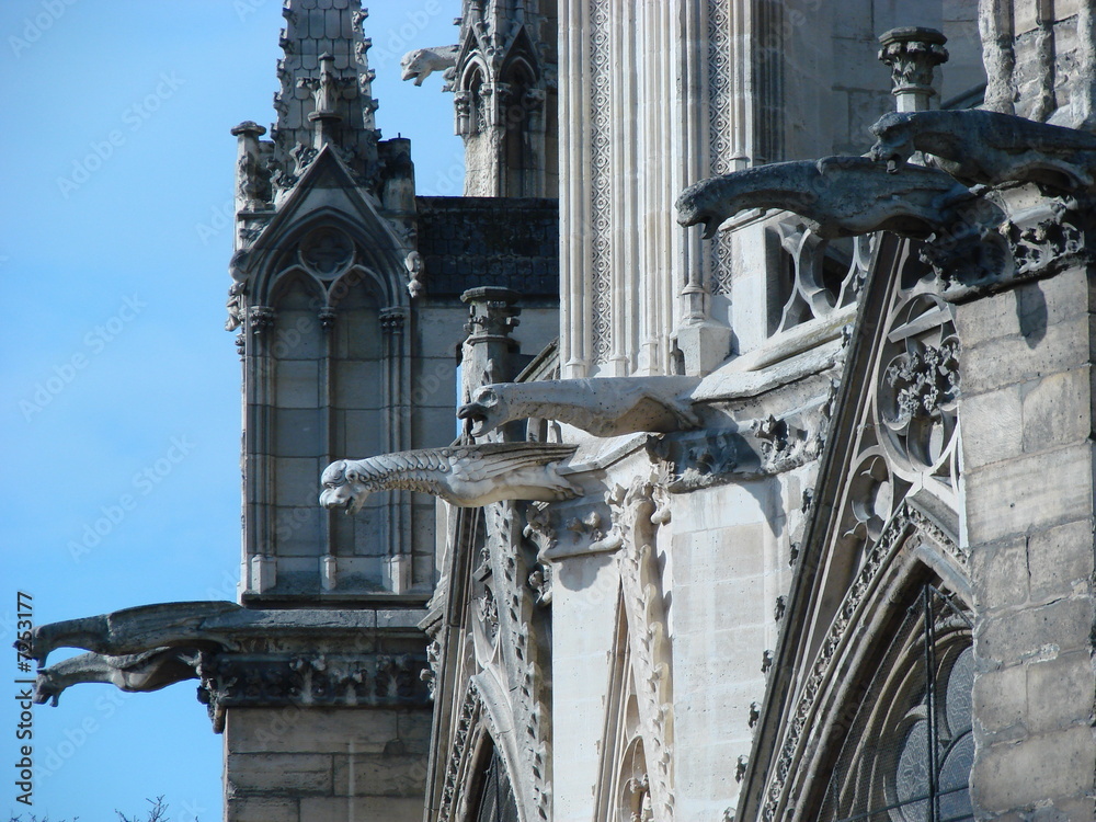 Fototapeta premium gargoyle