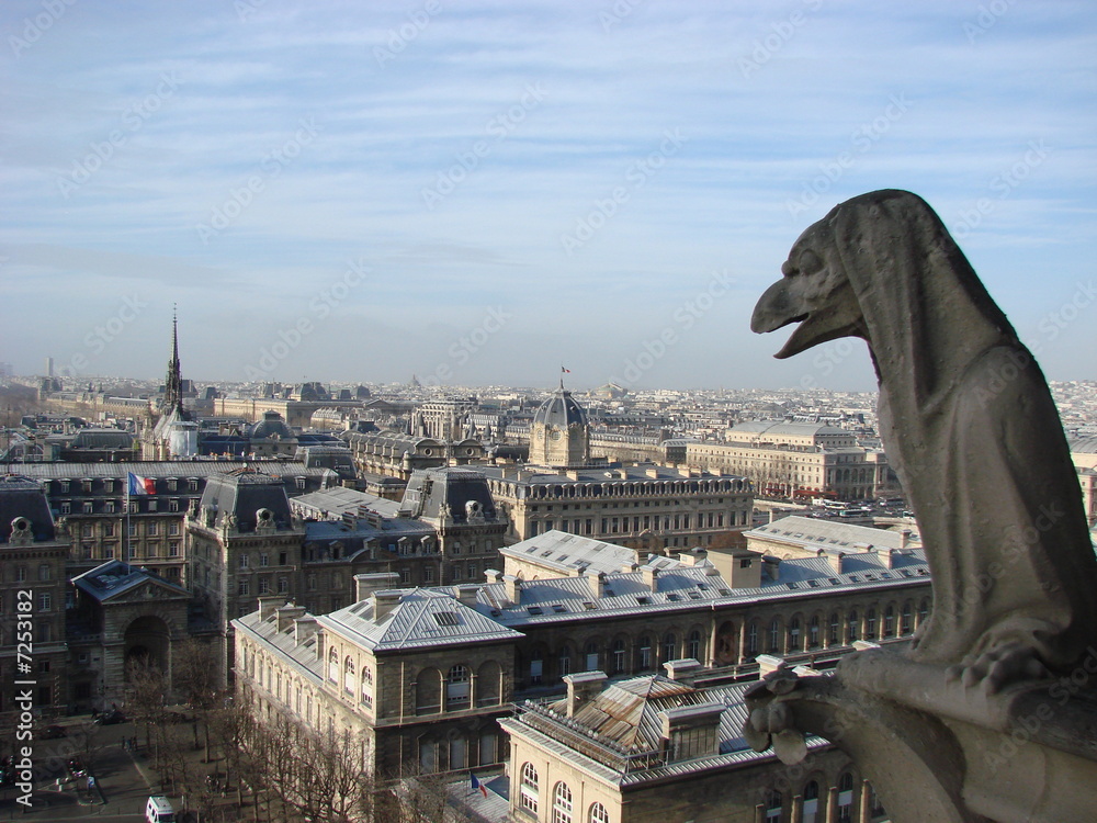 Fototapeta premium gargoyle 