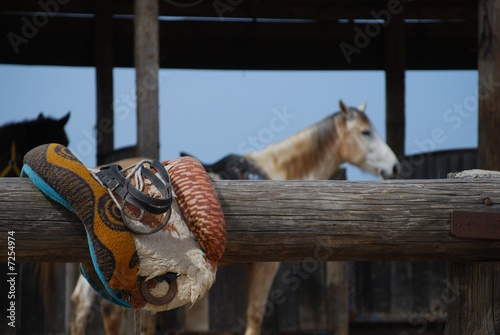saddle for horse