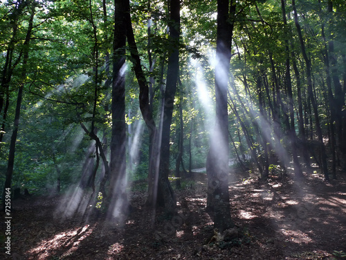 beams