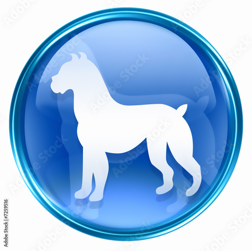 Dog Zodiac icon blue, isolated on white background. © Andrey Zyk