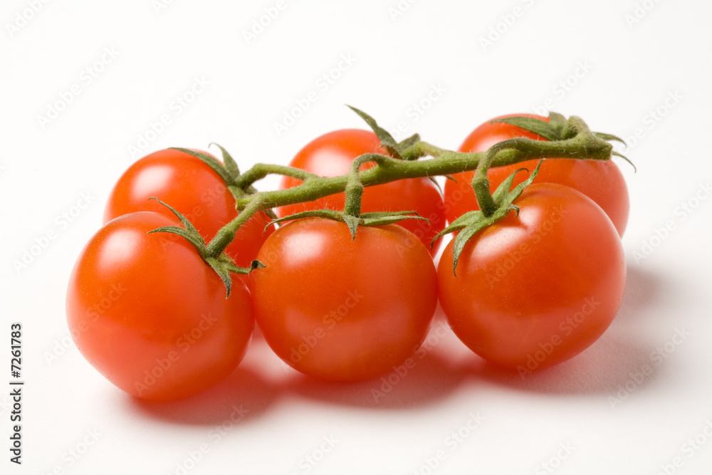 Cherry tomatoes on the vine