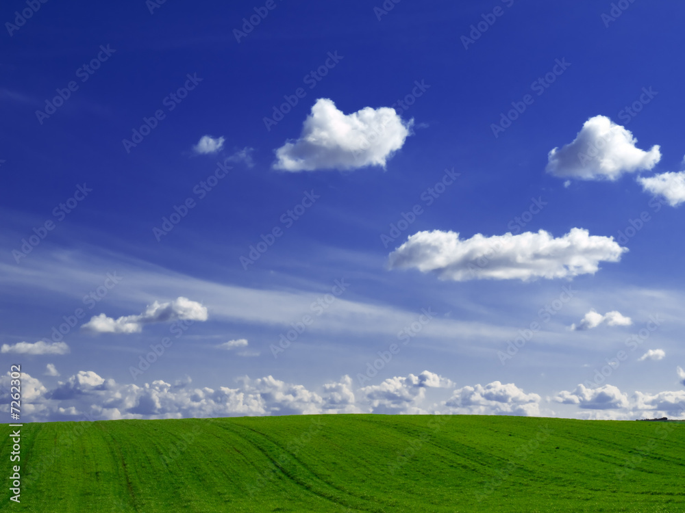Green fields and blue sky