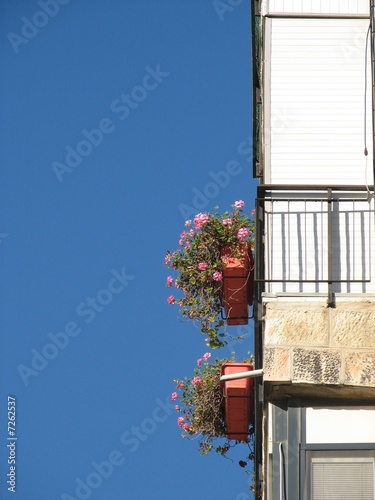 Flowers on a balcony
