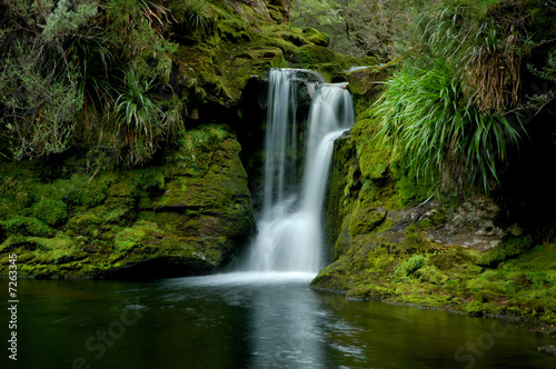 Waterfall and green vegetation