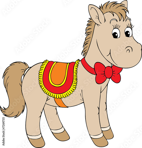 Foal
