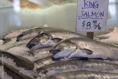 King Salmon on ice photo