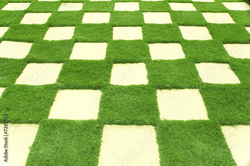 Beautiful grass tiles in a garden.