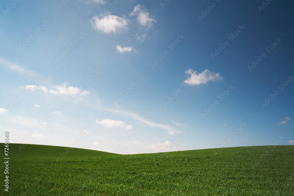 Green meadow Green meadow