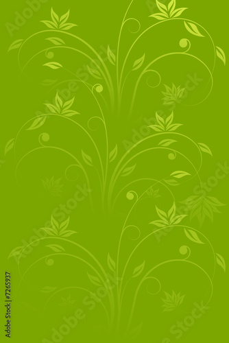 Vector Flowers