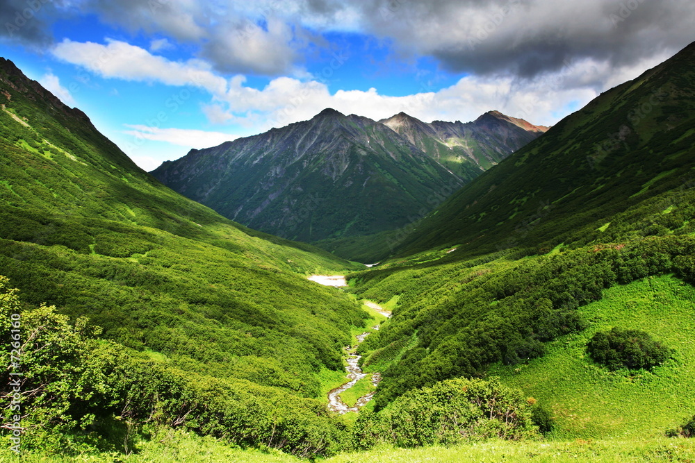 Fototapeta premium Green hills