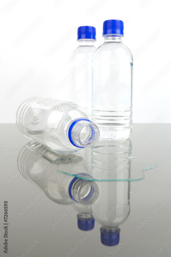 Bottle Drinking Water Bottle Drinking Water