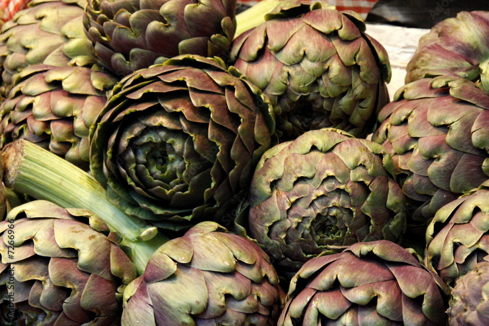 Fototapeta premium artichauts