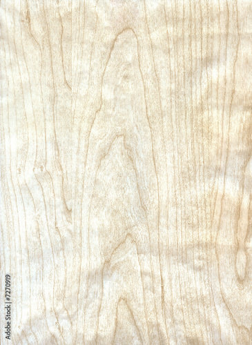 Close-up wooden HQ Birch texture to background