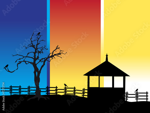 Old tree, house, nature silhouette