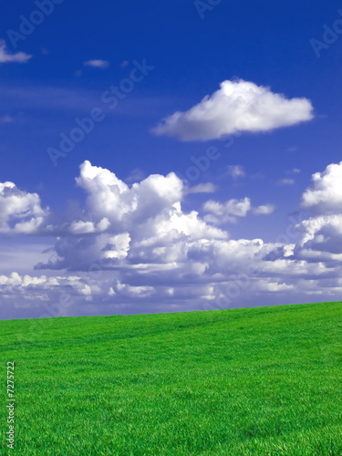 Green fields and cloudy blue sky