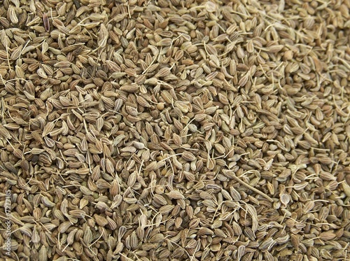Anise