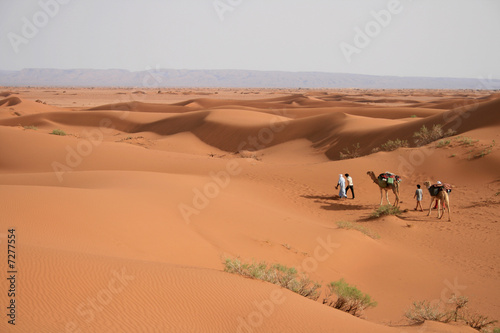 M  har  e dans le Sahara marocain