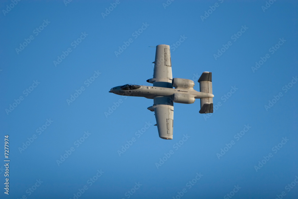 Fototapeta premium A-10 combat jet