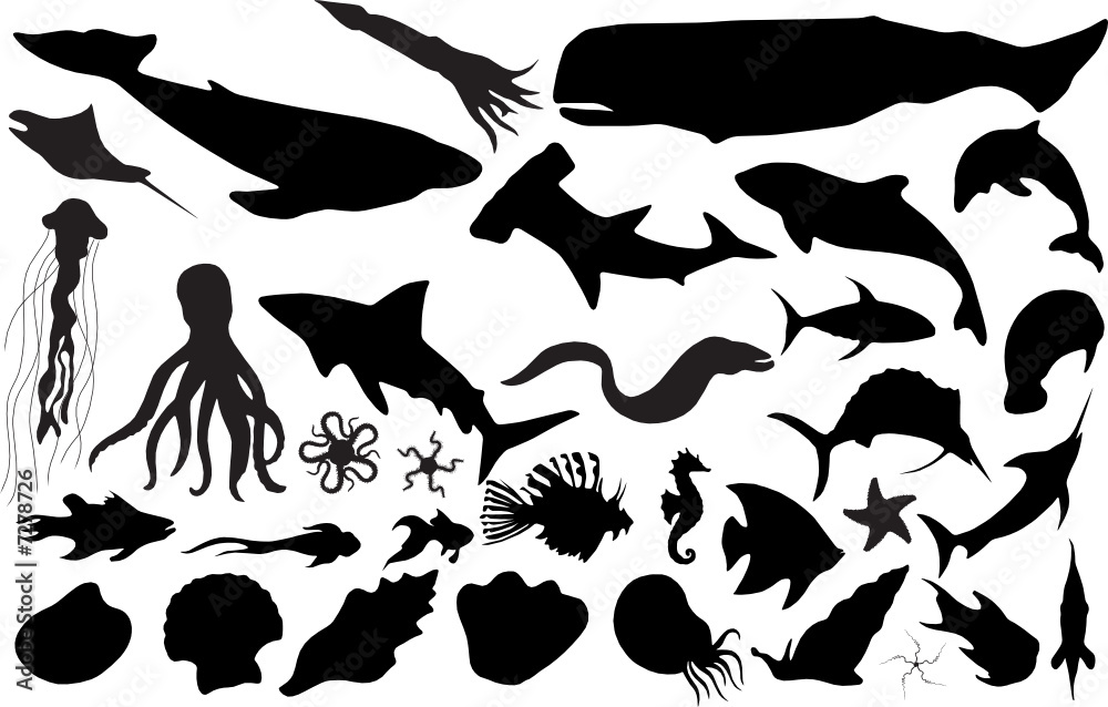 Fototapeta premium Marine life silhouettes (more detailed versions available)