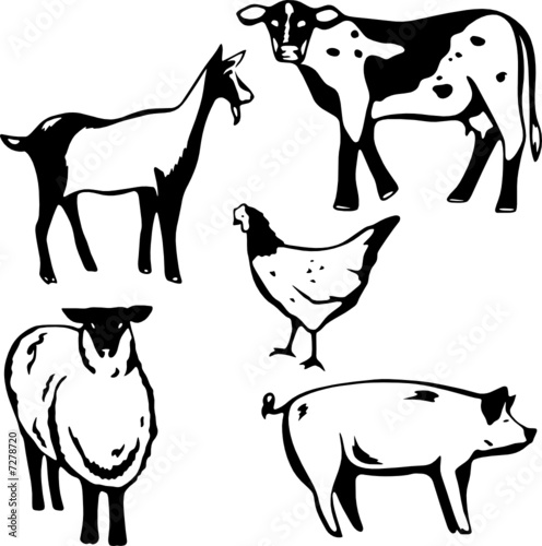 Five stylized vector illustrations of barnyard animals
