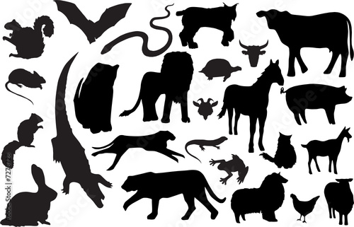 Vector animal silhouettes (more detailed versions available)