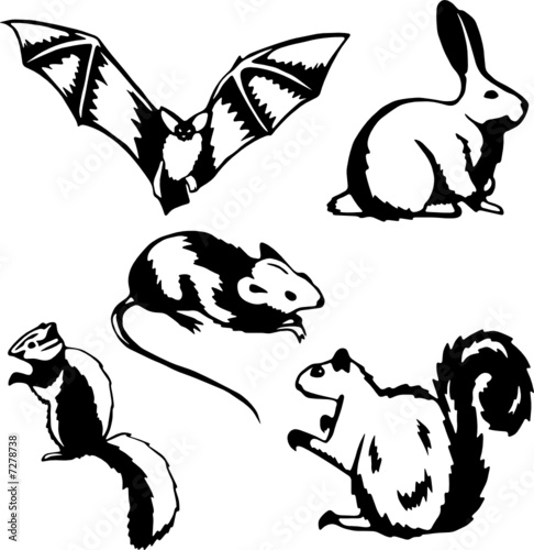 Five stylized vector illustrations of small mammals and rodents