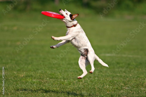 Catch!