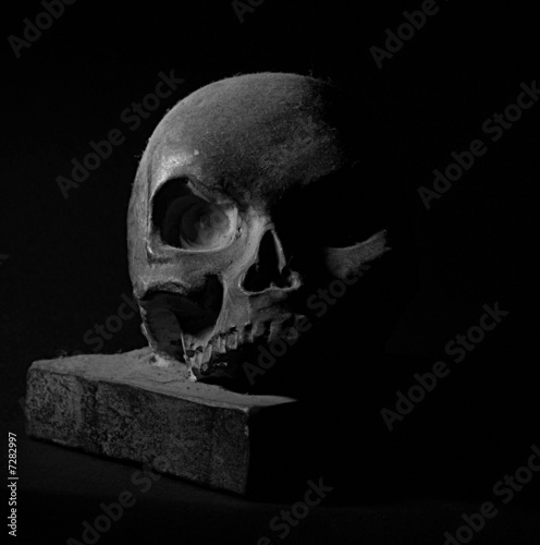 Human Crania sculpture 