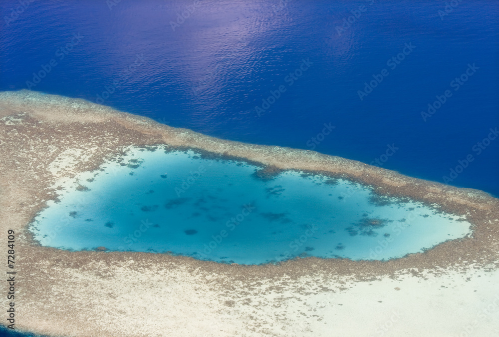 Obraz premium Coral reef