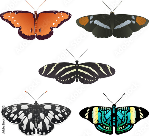 Five more vector butterflies