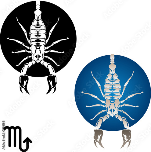scorpio zodiac symbol