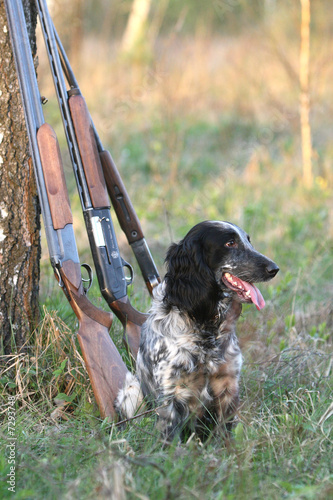 Obraz na płótnie Dog with guns w salonie