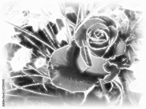 rose scintillante noir et blanc