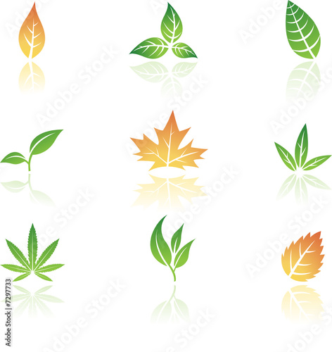 Logo like Leaves isolated on a white background