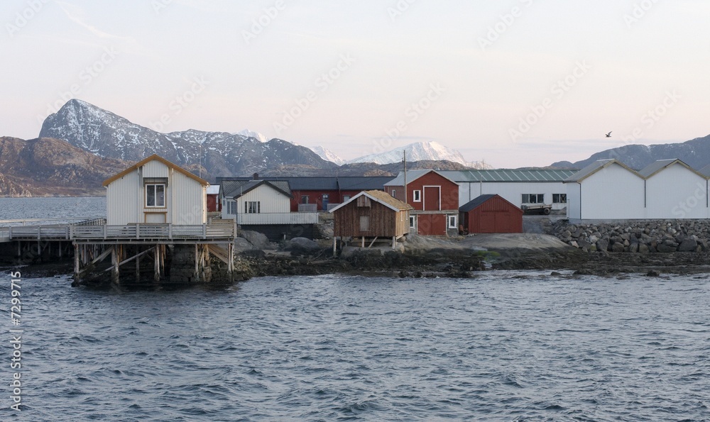 Fishermans harbour