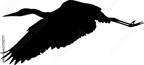 vogel