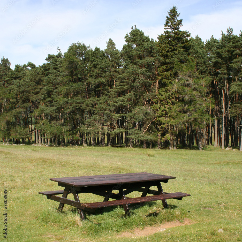 picnic area with table
