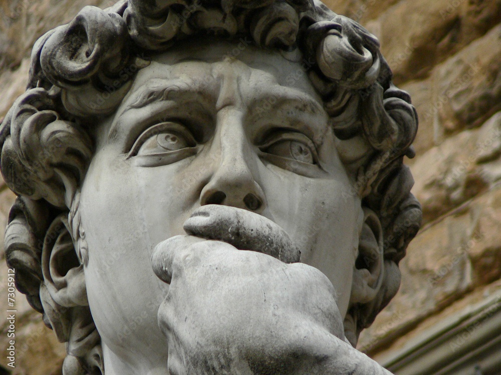 DAVID BY MICHELANGELO IN PIAZZA DELLA SIGNORIA (FIRENZE, ITALY) DAVID BY MICHELANGELO IN PIAZZA DELLA SIGNORIA (FIRENZE, ITALY)