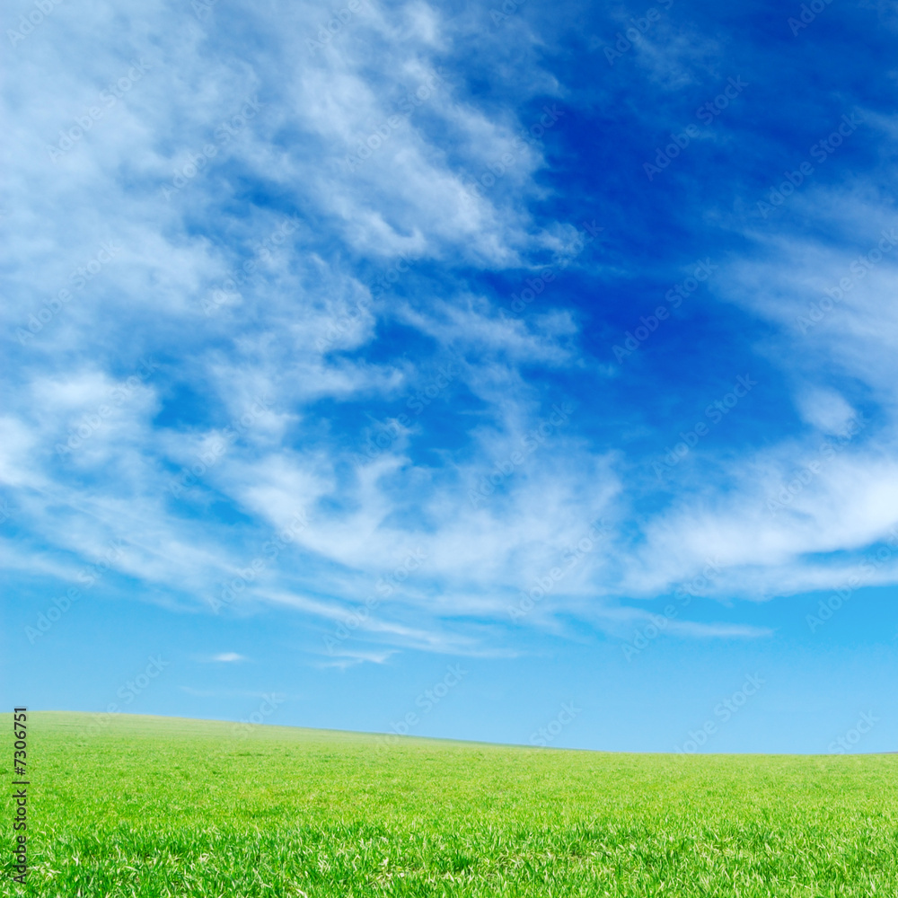 white fluffy clouds