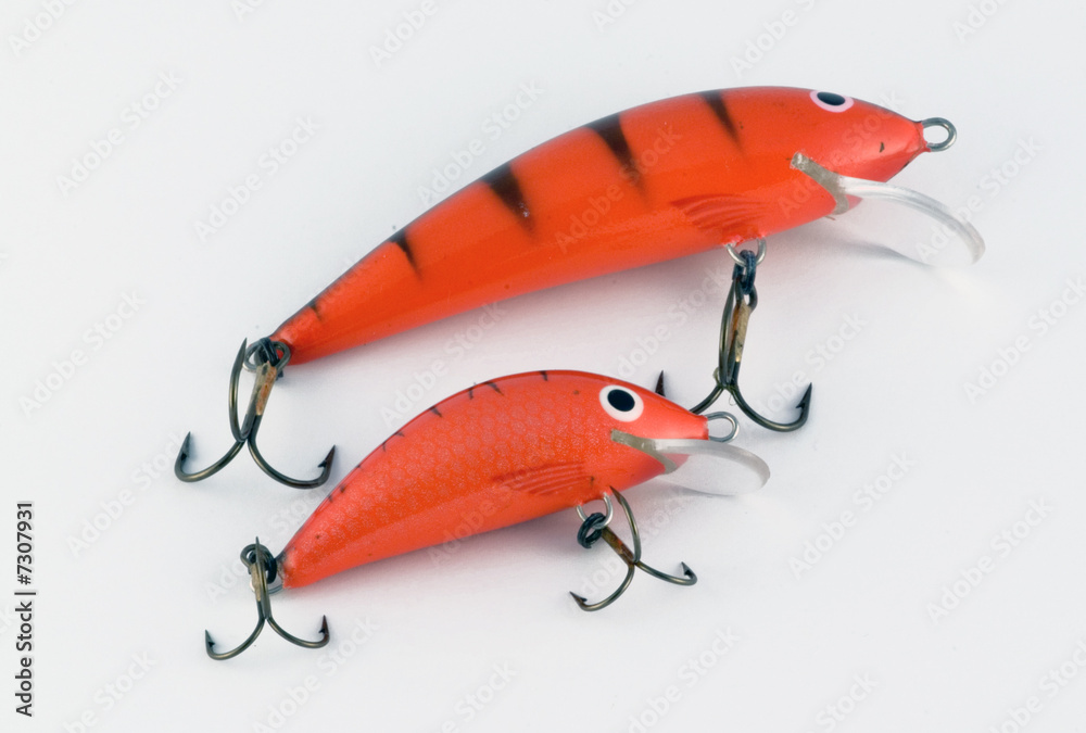 bait