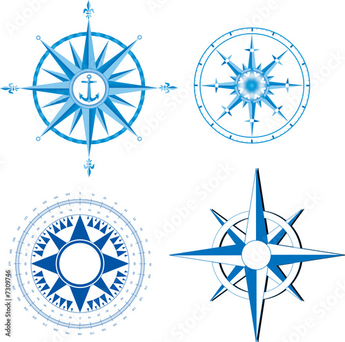 Wind rose