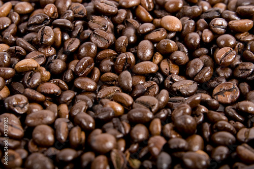 Fresh coffee beans background 
