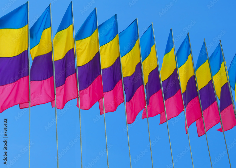 Obraz premium Colorful Flags