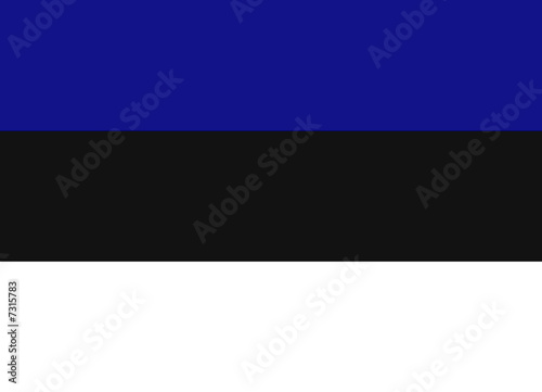 drapeau estonie