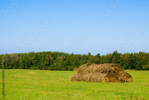 Haystack