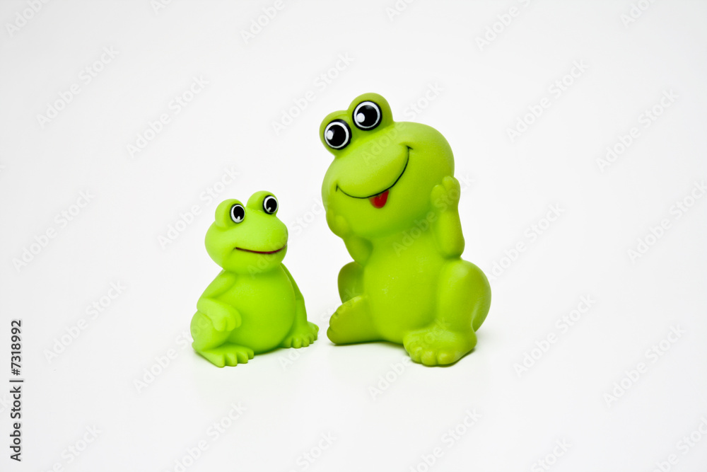 Fototapeta premium Laubfrosch