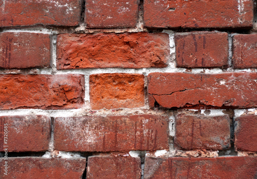 Obraz premium old brick texture