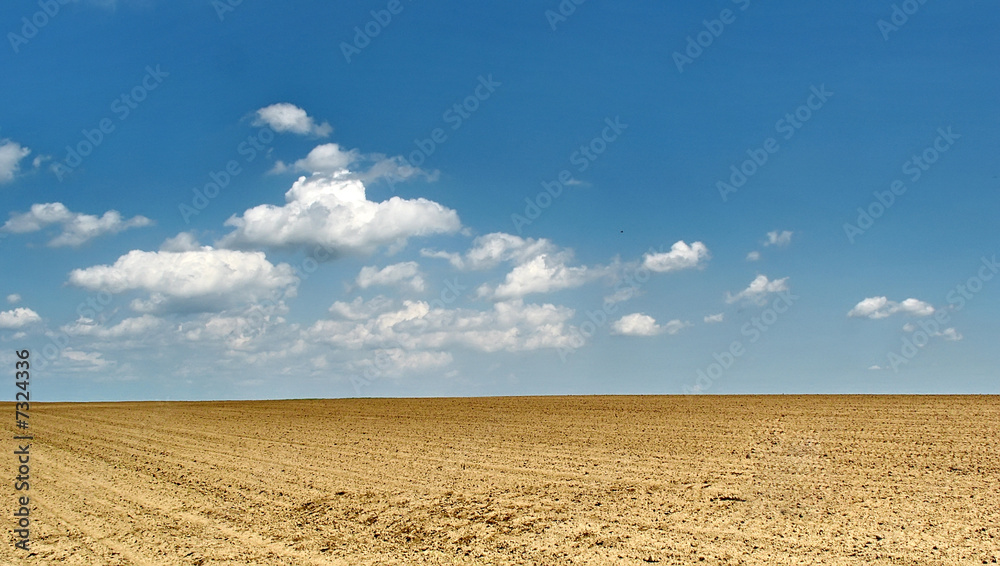 Fototapeta premium plowed field