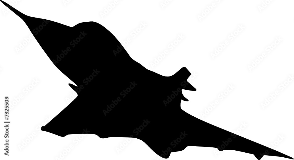 flugzeug flugzeug